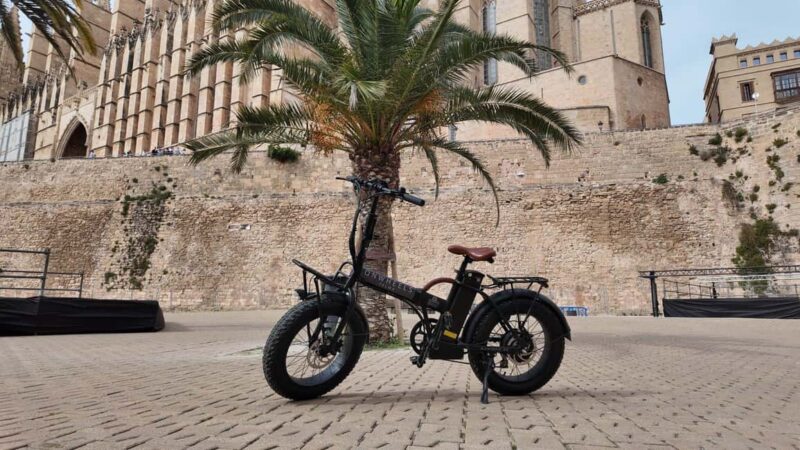 Palma: Exclusive City Highlights E-Bike Tour - Visiting Palma Cathedral: A Key Photo Stop and Guided Tour