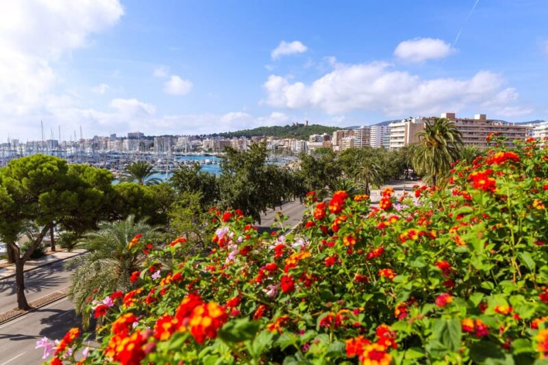 Palma: Express Walk with a Local in 60 minutes - Key Points