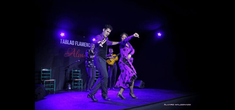 Palma: Flamenco Show at Tablao Flamenco Alma with Drink - What Makes the Flamenco Show So Special