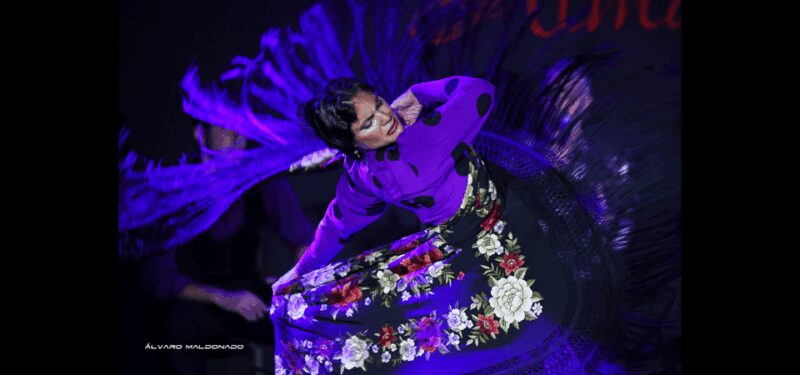 Palma: Flamenco Show at Tablao Flamenco Alma with Drink - Audience Experience and Atmosphere