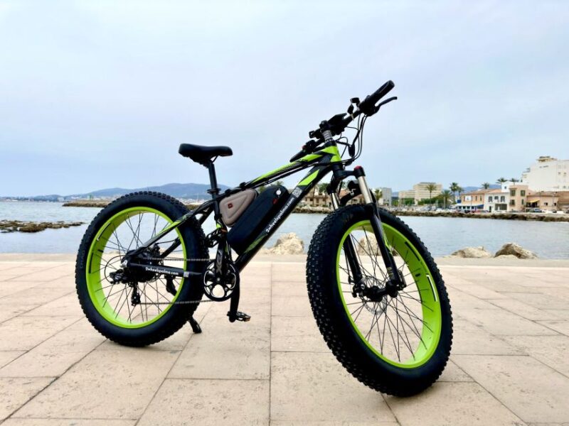 Palma: Guided City Tour with a Fat Tire E-Bike - Visiting the Iconic Palma Cathedral