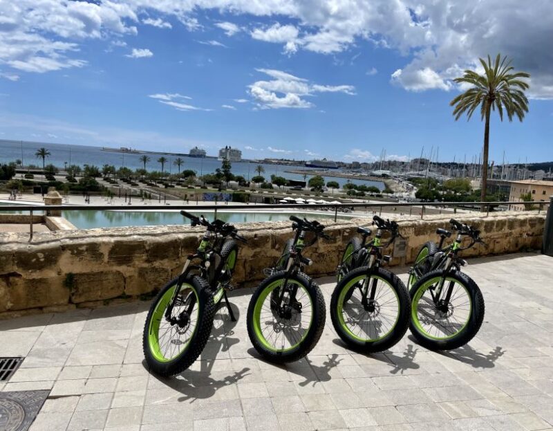 Palma: Guided City Tour with a Fat Tire E-Bike - Discovering Portixol’s Waterfront Charm