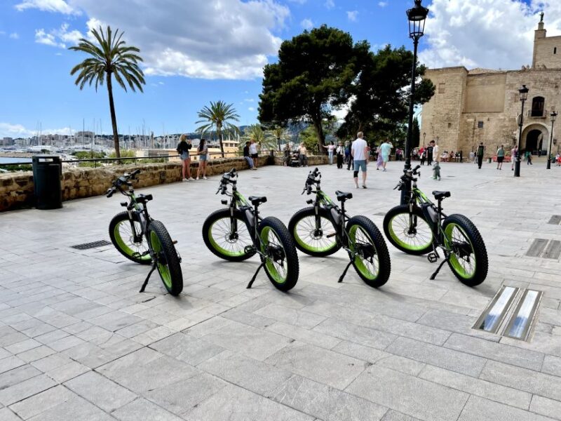 Palma: Guided City Tour with a Fat Tire E-Bike - Considerations for a Smooth Ride
