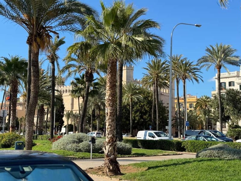 Palma in person and away from the crowds - Comparing with similar experiences