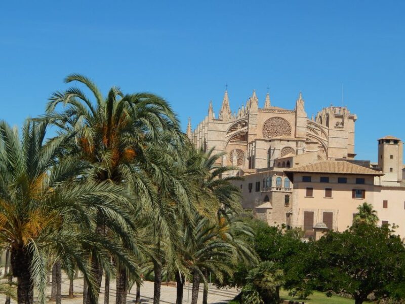Palma old town for the first time - From Stately Landmarks to Intimate Courtyards