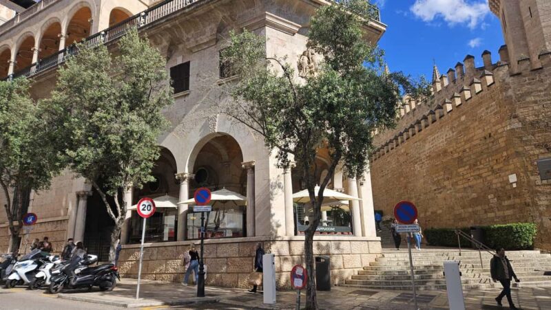 Palma: Old Town Guided Tour with Cathedral Skip-the-Line - Physical Requirements and Accessibility Considerations