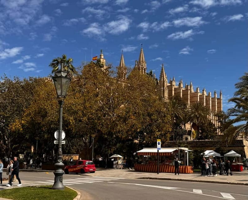 Palma Old Town Insider Tour with visit of the Cathedral - Comparing to Similar Tours