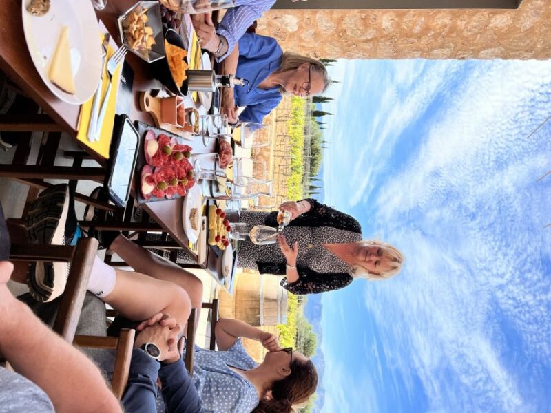 Palma: Orange Farm, Olive Mill, & Winery Tour with Tastings - Key Points