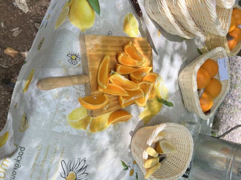 Palma: Orange Farm, Olive Mill, & Winery Tour with Tastings - Return Trip on the Historic Tram and Train