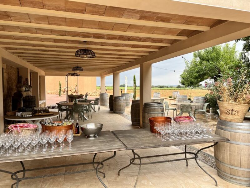 Palma: Orange Farm, Olive Mill, & Winery Tour with Tastings - The Orange Farm, Olive Mill, & Winery Visit