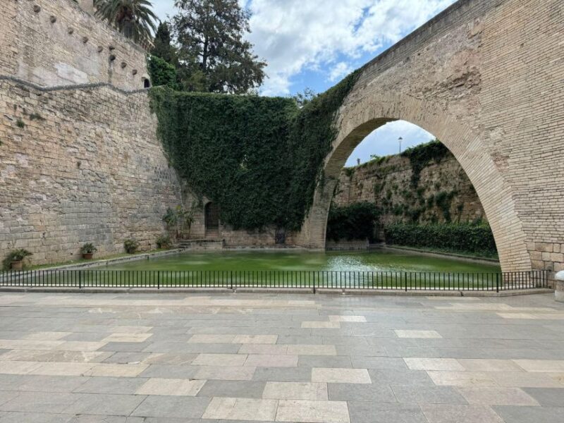 Palma Shore Excursion Bike Tour (Transfer Included) - Discovering Palma’s Cultural Gems and Religious Sites