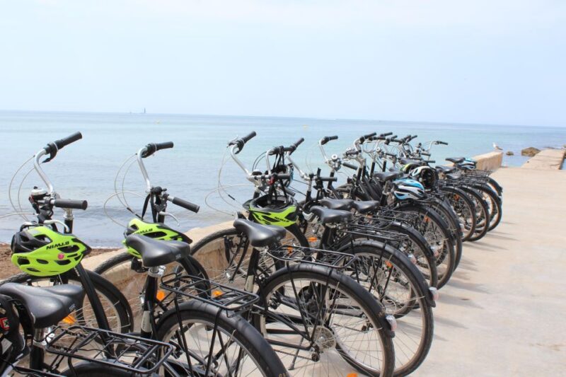 Palma Shore Excursion Bike Tour (Transfer Included) - The Tour Route and Itinerary Breakdown