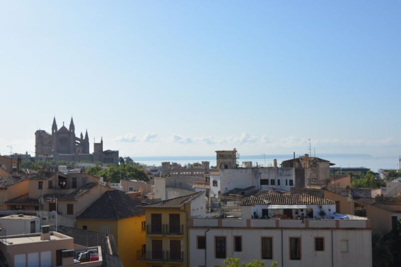Palma Shore Excursion Bike Tour (Transfer Included) - Who Will Enjoy This Palma Bike Tour?