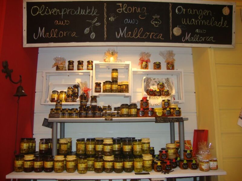 Palma Tour with Wine and Tapas Tasting - Logistics and Group Size: An Intimate Experience