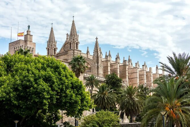Palma tours with Cathedral and Valldemossa options - Practical Tips for a Smooth Day in Mallorca
