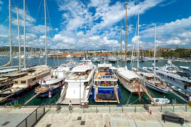Palma tours with Cathedral and Valldemossa options - Who Will Make the Most of This Mallorca Tour