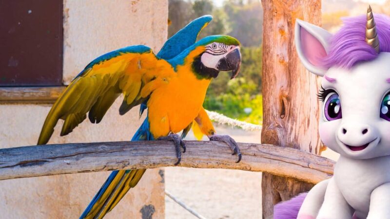 Palmanova: The lovely Magical Creatures, family and fun game - Practical Details on Meeting and Starting the Tour