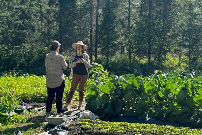 Palmer Farm Tour - Explore Alaska’s Farming History and Modern Challenges