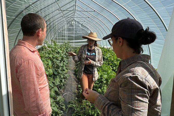 Palmer Farm Tour - Sampling Local Beverages at a Craft Establishment