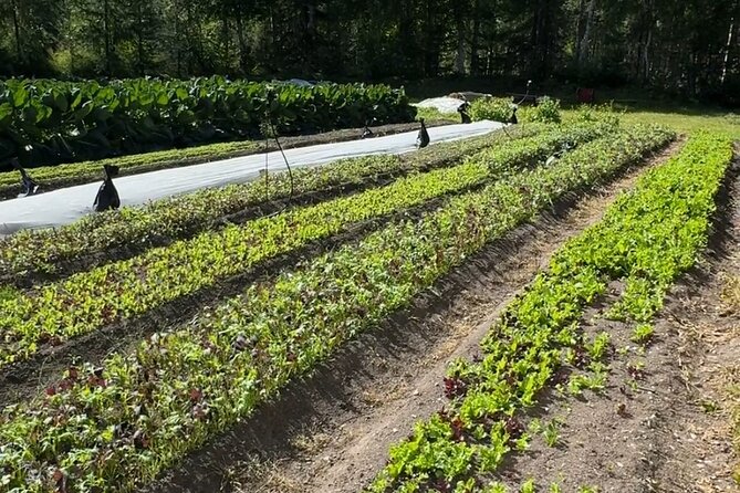 Palmer Farm Tour - What Sets This Tour Apart in Palmer