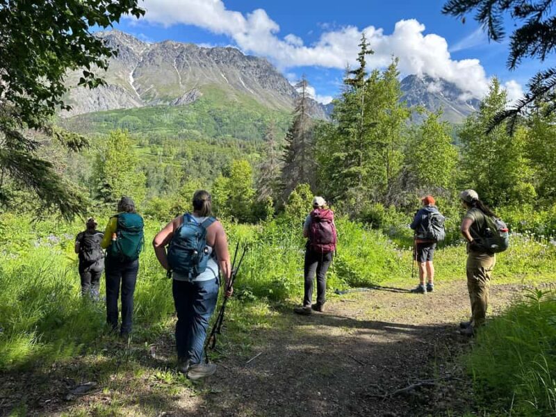 Palmer Hidden Waterfalls Guided Backcountry Hike - The Scenic Climb and Mountain Views