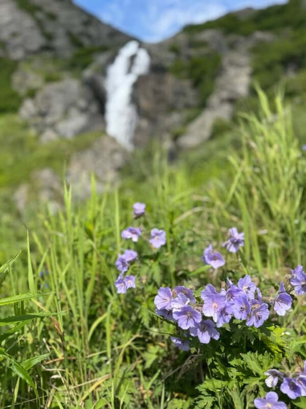 Palmer Hidden Waterfalls Guided Backcountry Hike - Reaching Eska Falls and Mid-Hike Picnic