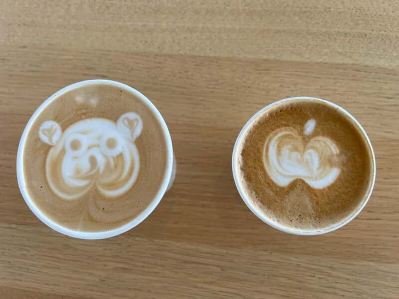 Palo Alto: Silicon Valley Private Tour with Pickup - NVIDIA and Intel Museum: Tech Company Scenery and Insights