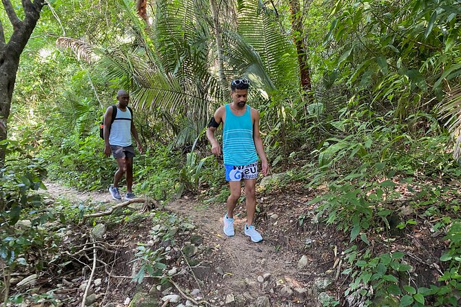 Palo María Waterfalls Hike Half-Day Tour - The Guide: Curiel’s Expertise and Passion