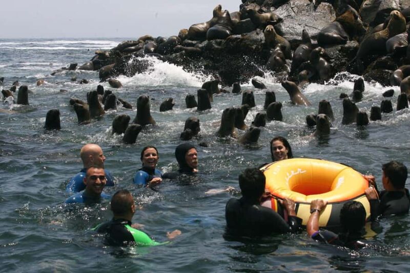 Palomino Islands Yacht Tour and swim alongside the sea lions - Discover the Palomino Islands Yacht Tour and Sea Lion Swim from Lima