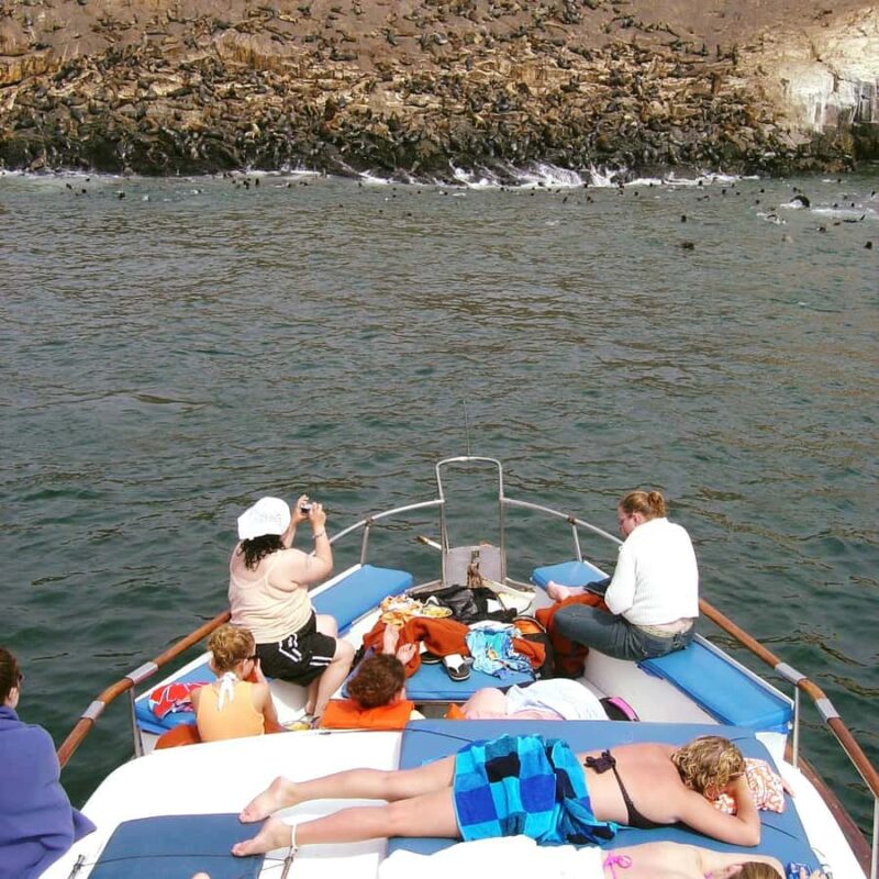 Palomino Islands Yacht Tour and swim alongside the sea lions - San Lorenzo Island Exploration