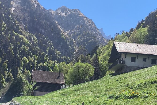 Pamplona de Bocado en Bocado: Join Our Pintxo Tour! - The Guide’s Expertise and Passion