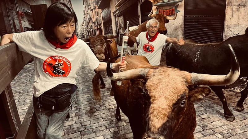 Pamplona: Walking Tour and Photo Session with Bulls - Practical Details: Meeting Point and Language Options