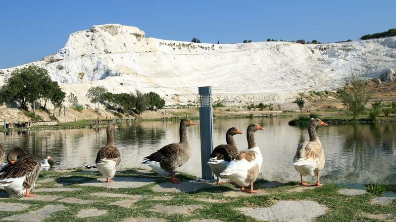 Pamukkale and Hierapolis: Full-Day Private or Group Tour - The Detailed Tour Itinerary and Stops