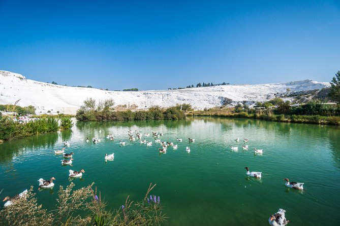 Pamukkale Day Tour from Selcuk - The Experience of Small Group Tours and Expert Guides