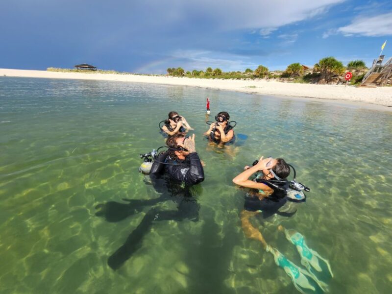 Panama City Beach: Beginners Scuba Diving Tour - Discover a Safe and Accessible Beginner Scuba Tour in Panama City Beach