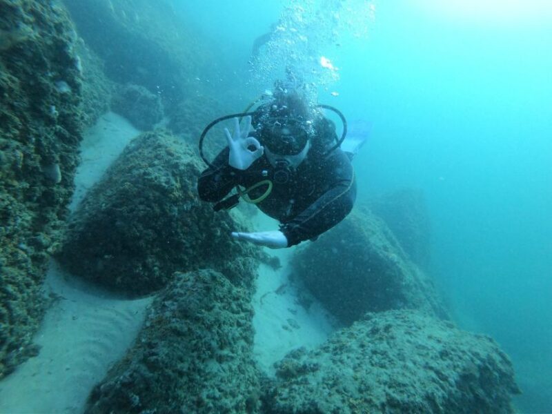 Panama City Beach: Beginners Scuba Diving Tour - Logistics and Practical Tips for Participants