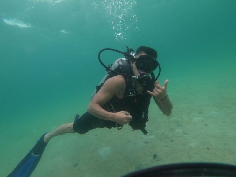 Panama City Beach: Beginners Scuba Diving Tour - Who Should Consider This Tour