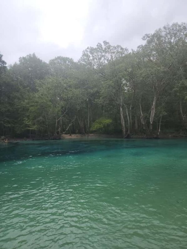 Panama City Beach: Cypress Springs Clear Kayak & Paddle Tour - Explore the Crystal Waters of Cypress Springs on a Guided Paddle Tour