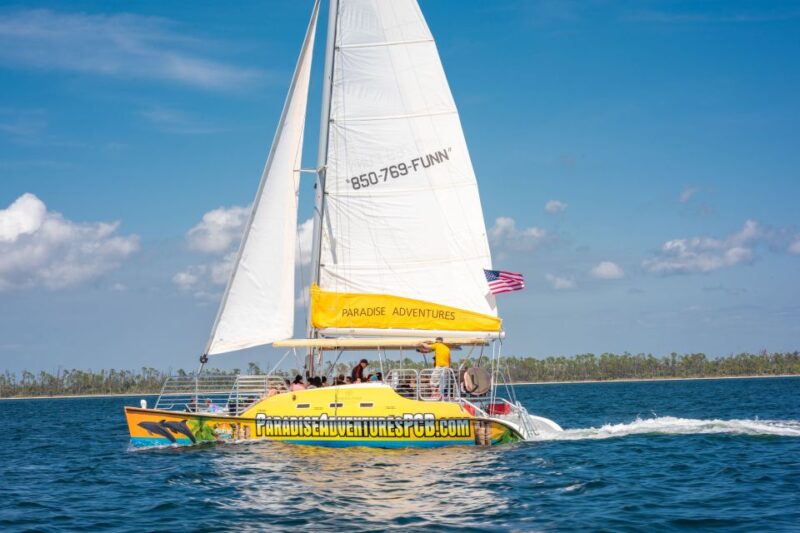 Panama City Beach: Dolphin Sightseeing Trip by Catamaran - Why Choose the Panama City Beach Dolphin Sightseeing Trip