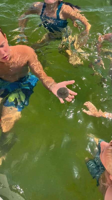 Panama City Beach: Private Sailboat Charter with Snorkeling - Drinks and Refreshments: Complimentary Beer and Wine on Board