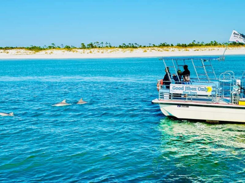 Panama City Beach: Snorkel Excursion with Good Jibez Only - Discover Shell Island and Dolphin Sightings on Panama City Beach Snorkel Tour