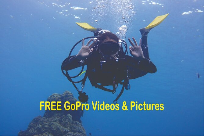 Panama City Scuba Diving Activity for Beginners - Discover the Beginner-Friendly Scuba Adventure in Panama City Beach