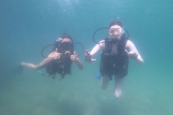 Panama City Scuba Diving Activity for Beginners - The Role of the Guide and Instructor