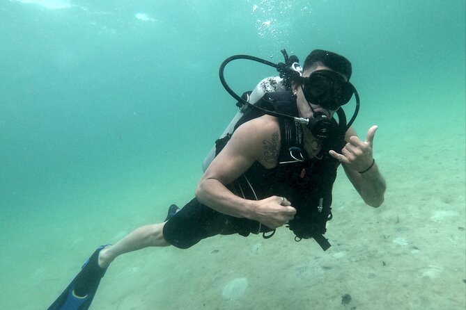 Panama City Scuba Diving Activity for Beginners - The Marine Environment Encountered in Panama City Beach