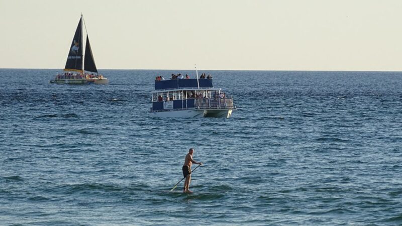 Panama City: Sunset Dolphin Cruise in St. Andrews Bay - Key Points