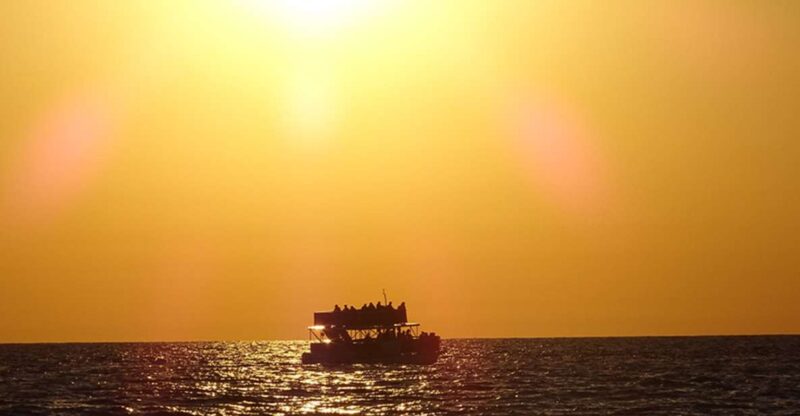 Panama City: Sunset Dolphin Cruise in St. Andrews Bay - Starting Point at St. Andrews State Park and Transportation