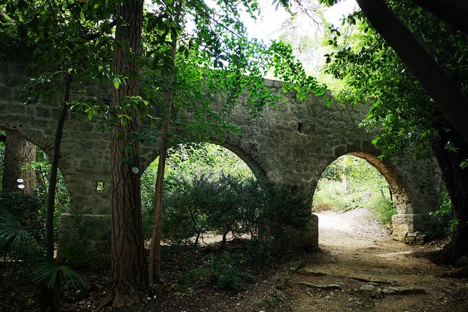 Panorama Dubrovnik & Arboretum Trsteno PRIVATE TOUR - The Sum Up of the Dubrovnik Panorama & Arboretum Tour