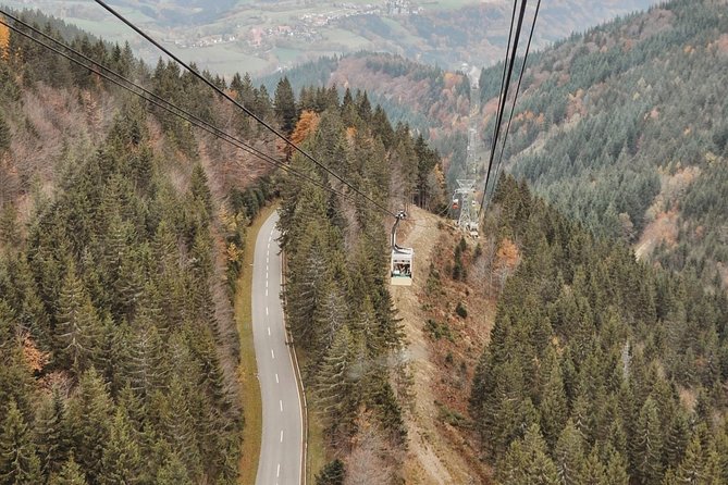 Panorama Hike through the Black Forest guided by a Local - Key Points