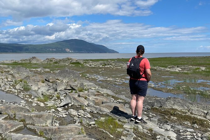 Panoramic and historical tour of the Île d'Orléans - Explore the Unique Charm of Île dOrléans with This Private Panoramic Tour