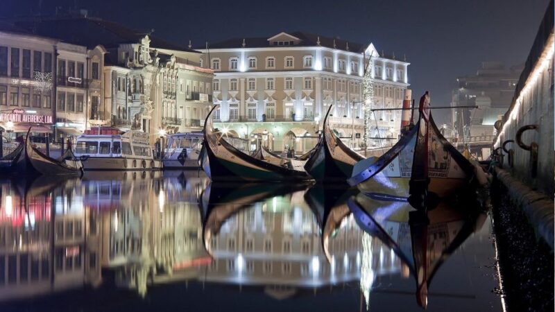 Panoramic Boat City Tour in Aveiro - Aveiro’s Colorful Canals and Art Nouveau Streets